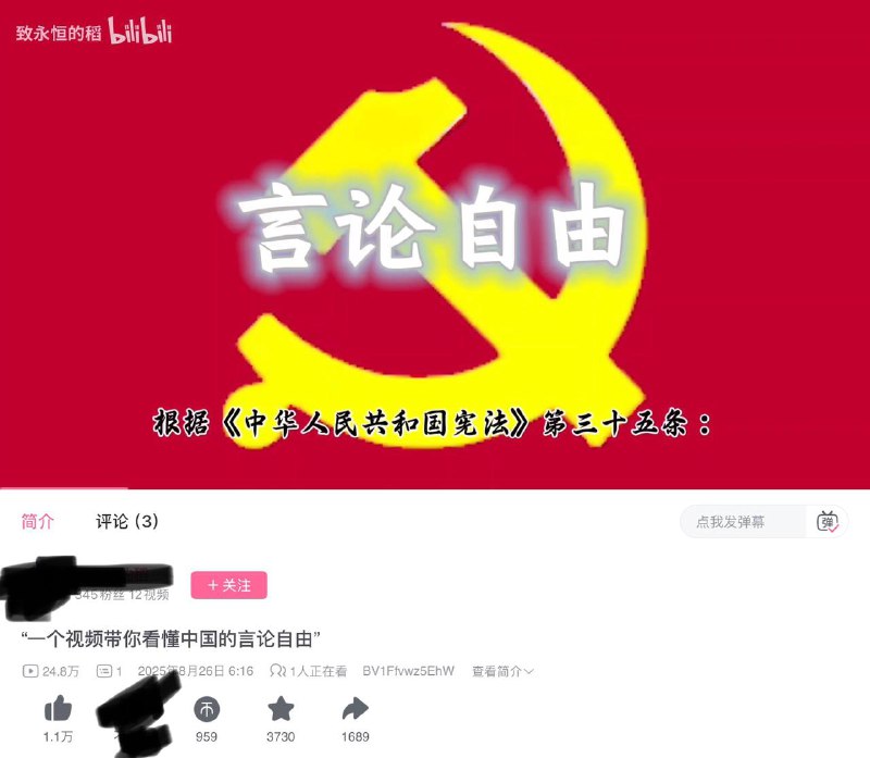 你看懂了吗？🤪👤