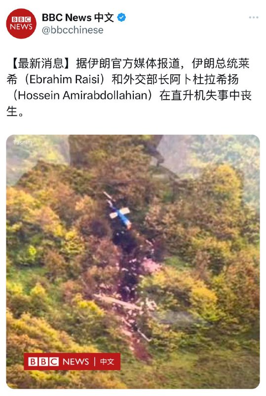 学习墙国🐸 死了。