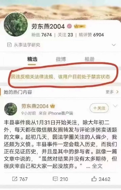 附上几篇劳东燕教授过往的仗义执言，涵盖郑州水灾溺斃地铁乘客、警察滥权、徐州八孩铁链女等等事件By