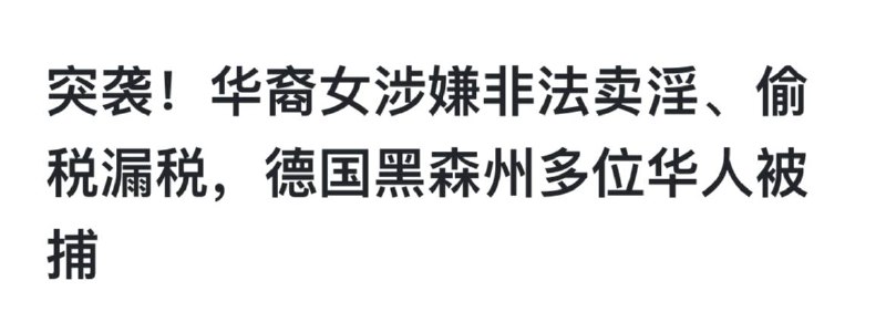 比较可信的消息，文章来源为 德国华人圈 多个平台的自媒体，其中引用了外文报道,但奈何小编没文化看不懂德语