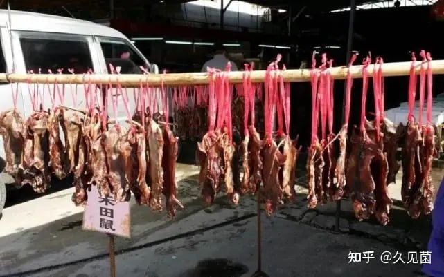 如何评价 特色烧烤如何评价 特色烧烤