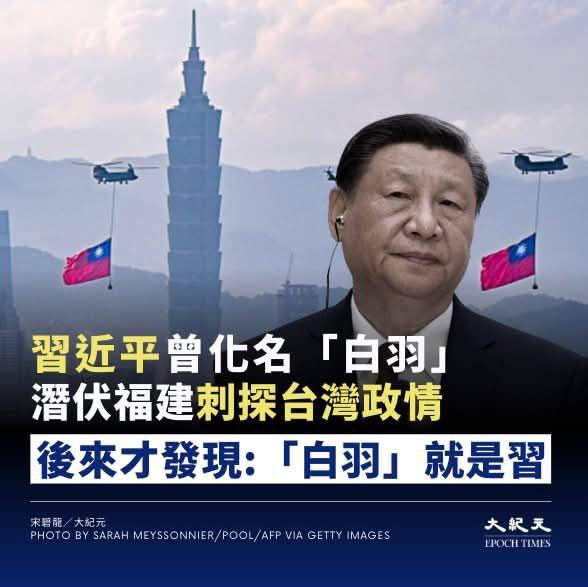 新皮肤：白羽😎 匿