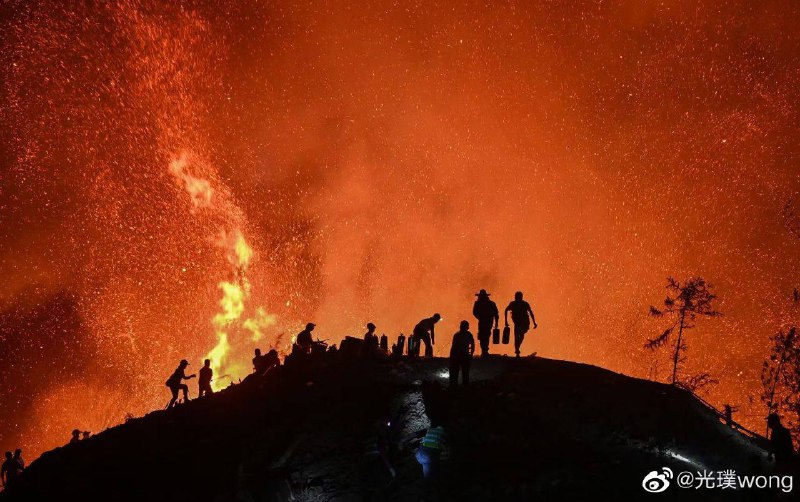 怪奇物语第五季