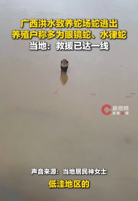 蛇
