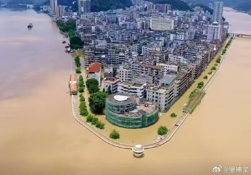 投稿By