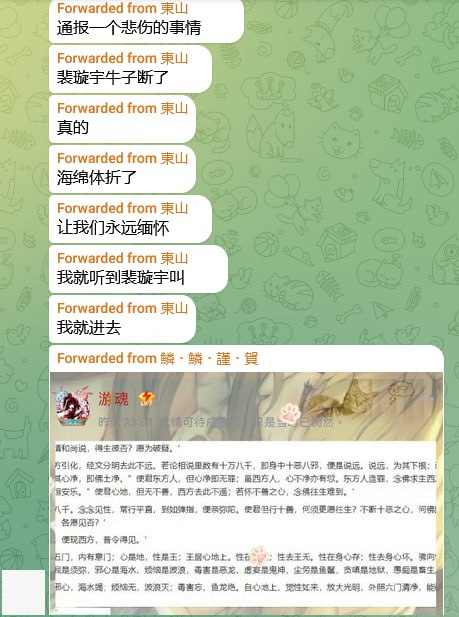 有消息称，被维基媒体基金会永久剥夺维基百科编辑权的中国大陆维基人用户组（WMC）成员之一裴璇宇，常用网名游魂 @Kdouls @Nekohamoukyuu，因呼吸道衰竭抢救无效并于近日逝世