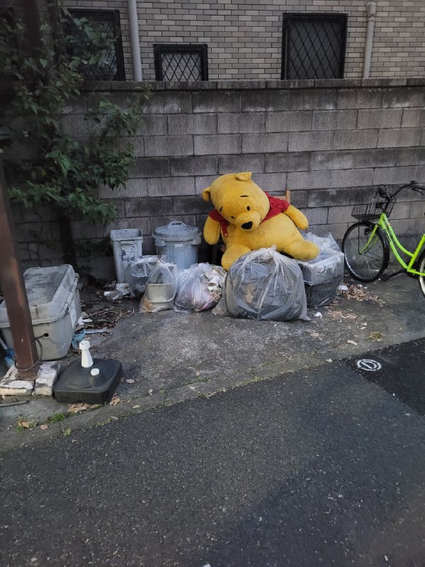 这是谁家的小熊被丢弃了😁By