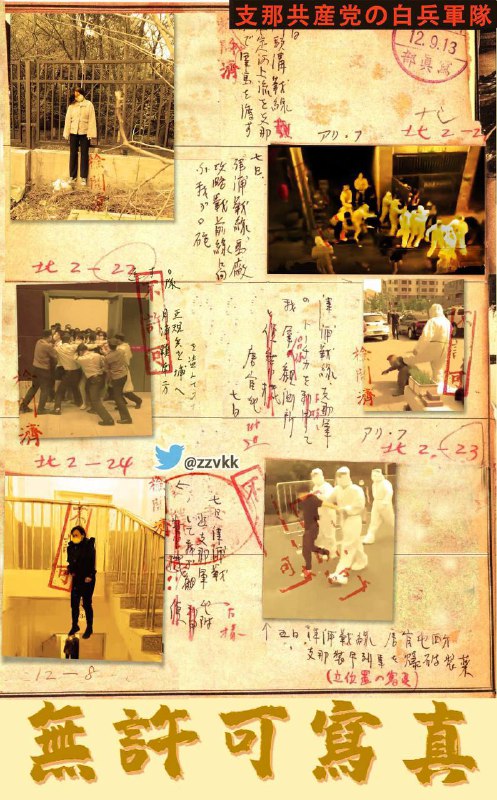#南京照相馆via Little Prince of Incitement Subversion🤴🏻 煽颠小王子🕶️ 匿名投稿#中国照相馆#把你当中国人整#南京照相馆via Little Prince of Incitement Subversion🤴🏻 煽颠小王子🕶️ 匿名投稿#中国照相馆#把你当中国人整