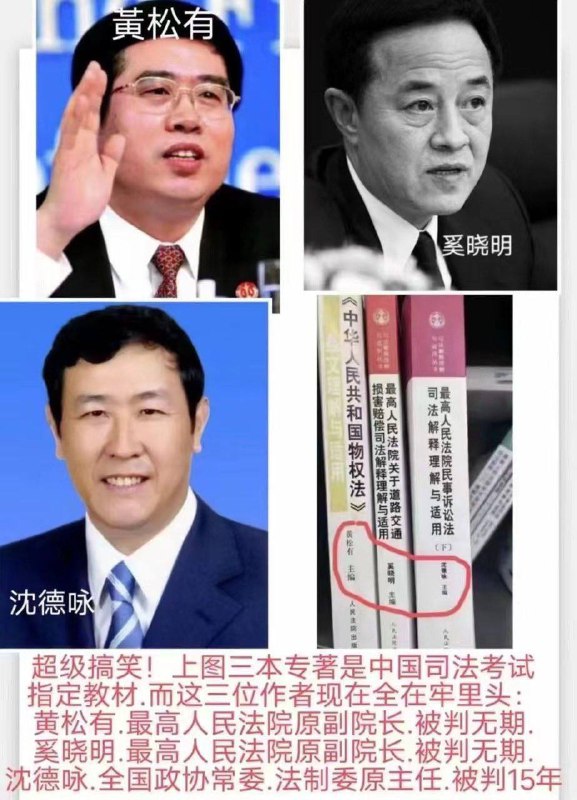 中国司法考试三种指定教材的三位作者或编著者，两个被判无期徒刑、一个领刑15年
