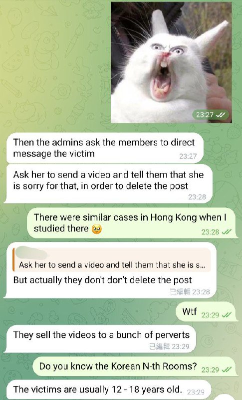 网友分享