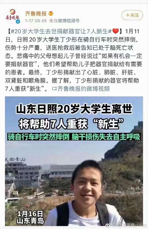 11号不幸摔伤了，这么快就配型成功了🤔