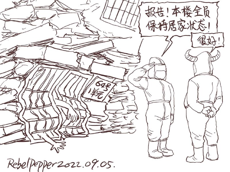 來自地震災區的好消息投稿By