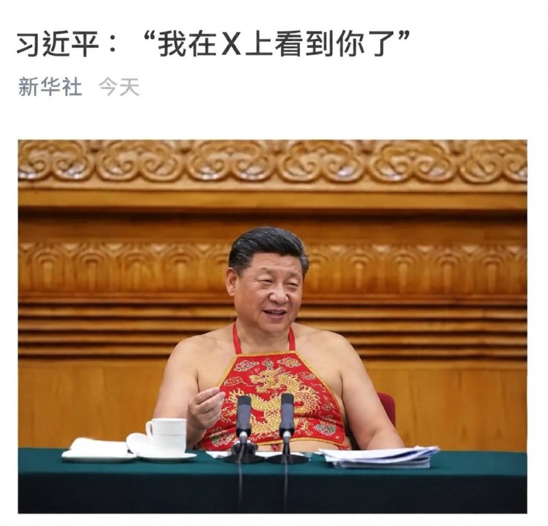习明泽在美国肯定会上