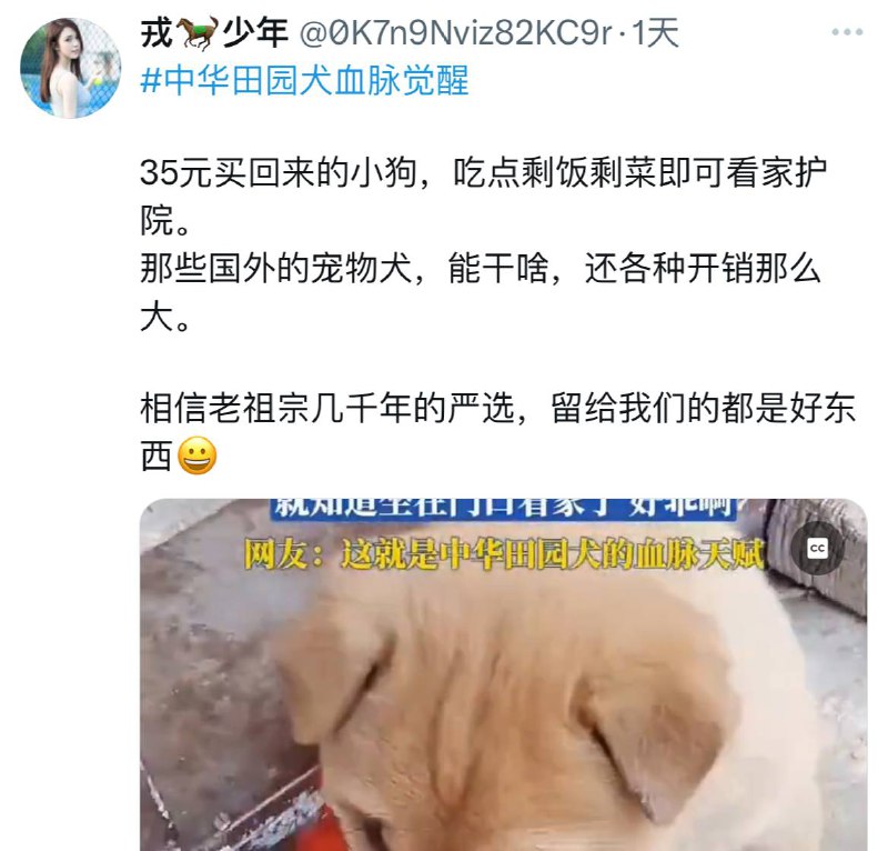 你这五毛说的是中华田