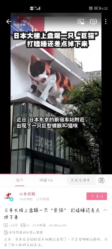 投稿| ू•ૅω•́)ᵎᵎᵎ战狼B站