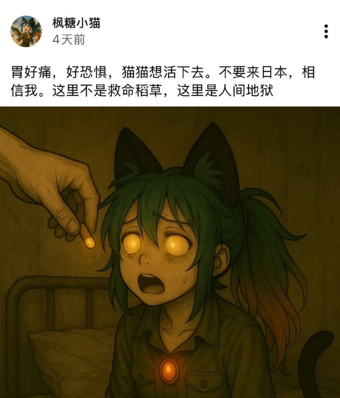 口口声声说日本是人间地狱的粉蛆疯唐孝猫，疑似回国立即就被警察拘留了（原因据传是其威胁父母，骚扰他人），至今已失联两天，真相如何，我们拭目以待