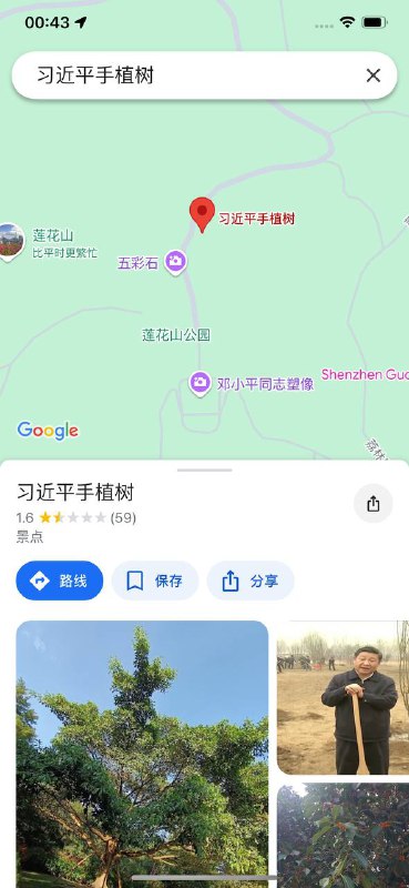 墙友们可以给 谷歌地图 习近平手植树上 点个赞吗投稿By