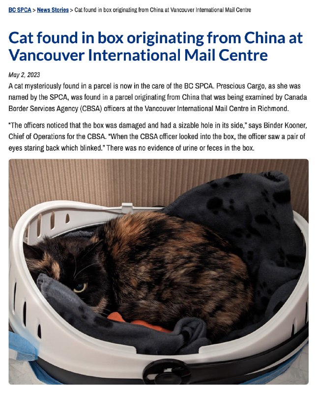 温哥华海关发现一只活猫被装进包裹里，由中国远渡加拿大By