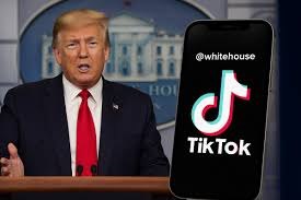 昨天白宫tiktok