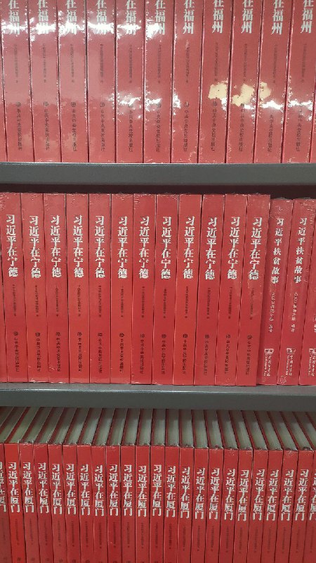 勃日列涅夫写了本书