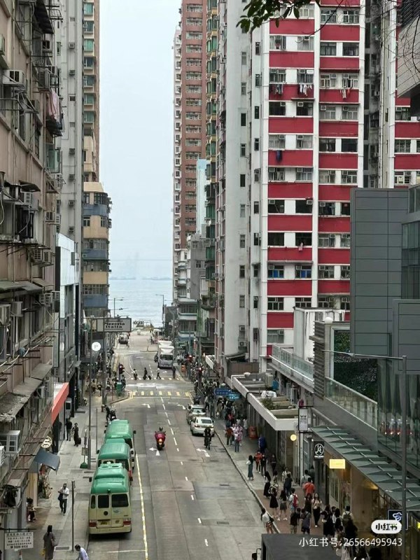 习包子推行香港内地化成果展示