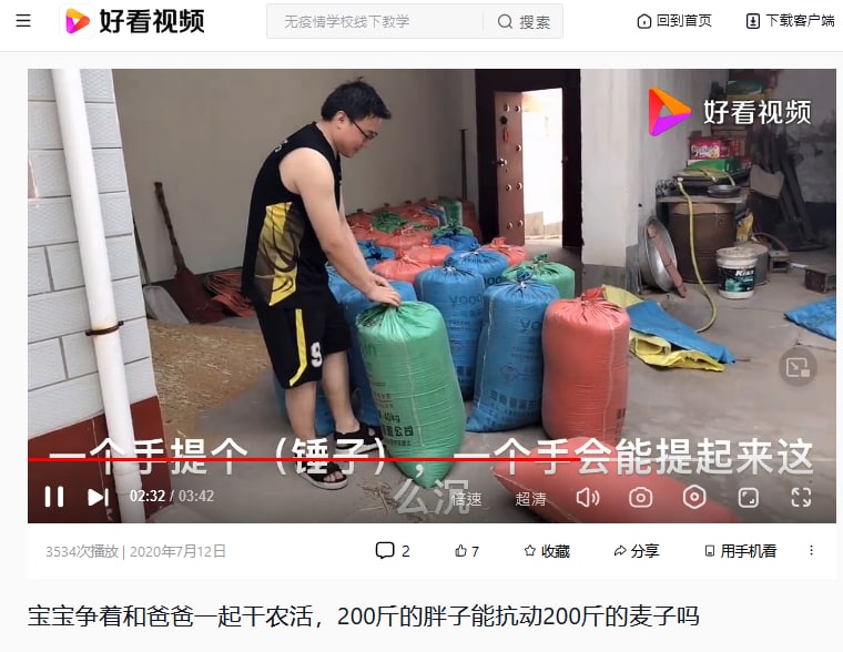 墙内有人挑战习大大 