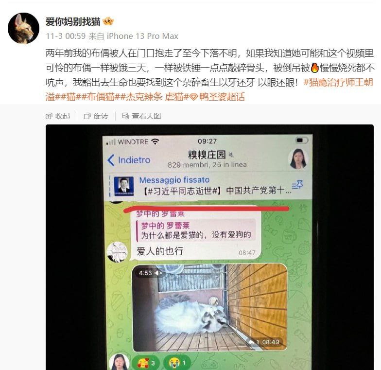 想与「非法境外组织」一起来祈翠吗😁