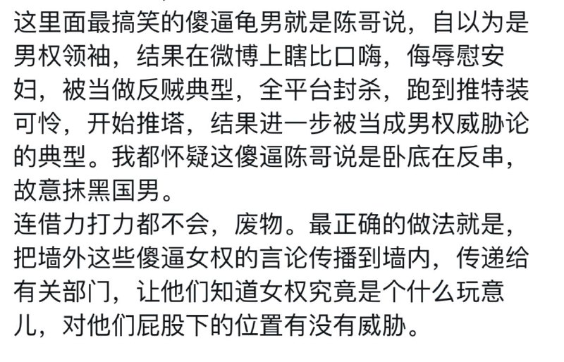 这好像是以前微博上那个五毛伊利达雷之怒，号被铁拳了跑外网来装反女拳博主