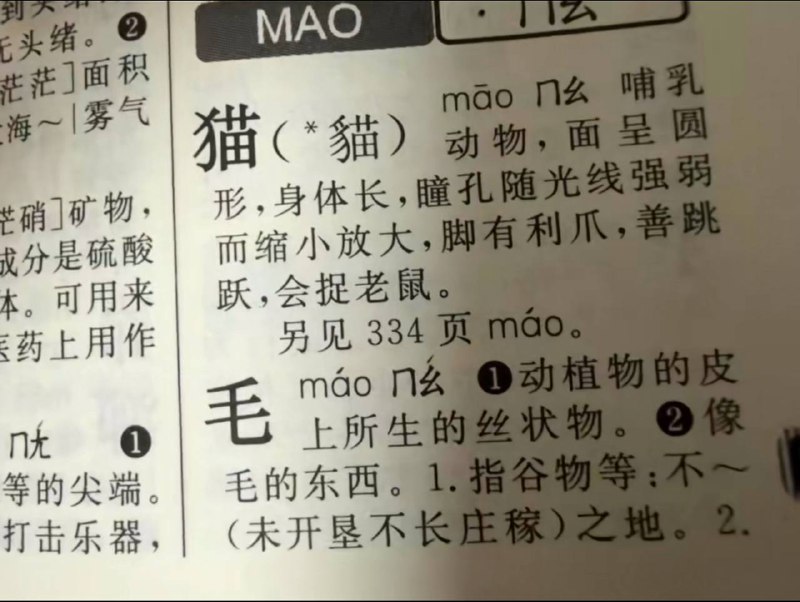 😎 匿名投稿