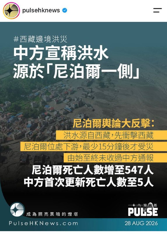 维尼表示：责任全在尼