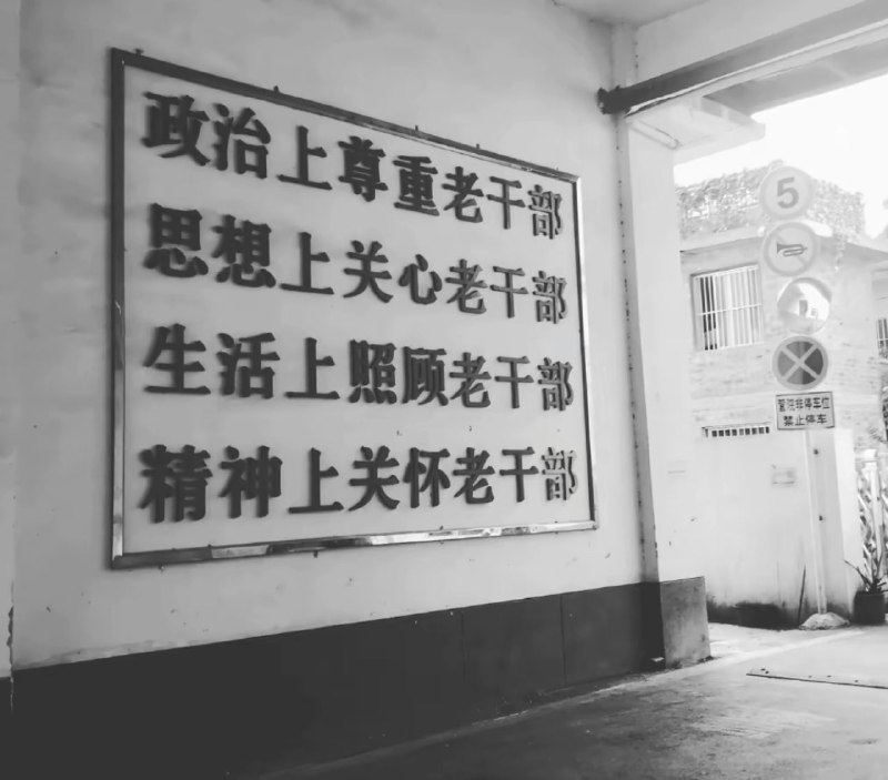 器官上献给老干部😁