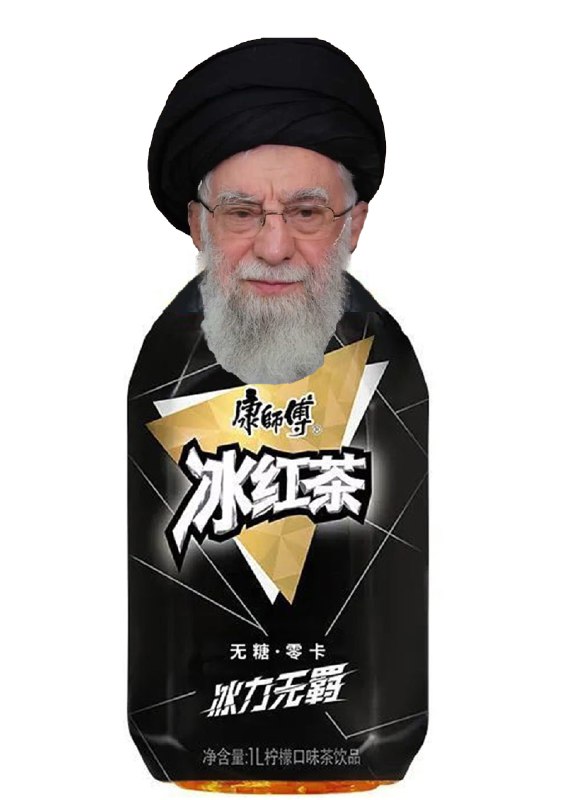 耐炸王·哈梅内伊