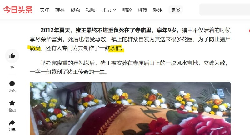 马迎新⚔️大佐马迎新⚔️大佐