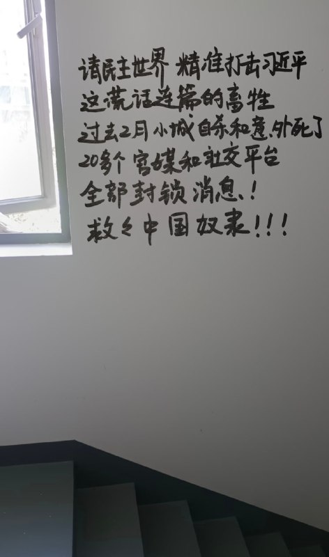 #厕所革命😎 匿名投稿#厕所革命😎 匿名投稿