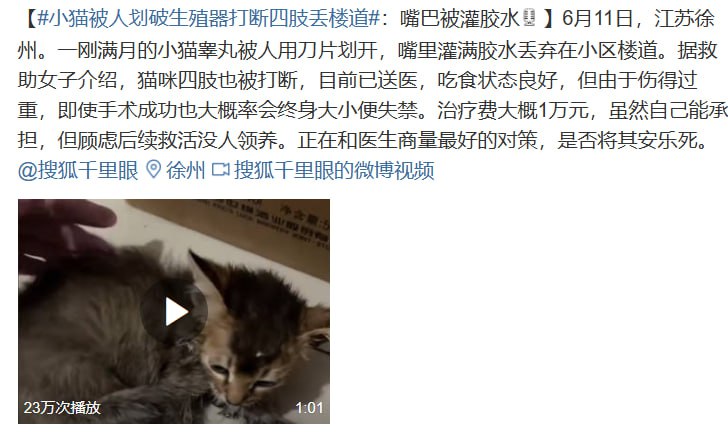 善良的中国人