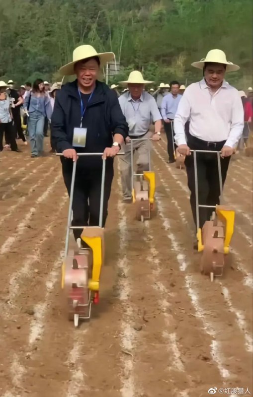 相信共产党的力量，能够扭转一切科学《沙漠种水稻》#诺贝尔生物学奖 #人定胜天相信共产党的力量，能够扭转一切科学《沙漠种水稻》#诺贝尔生物学奖 #人定胜天