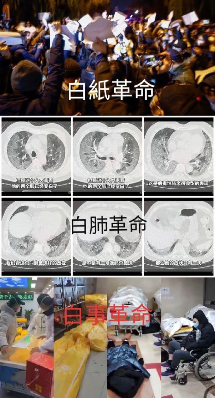 唐飞太坏了 来自爱国华为战狼版