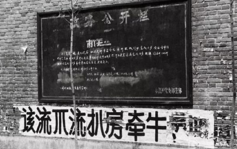 中国人自绝后路投稿By