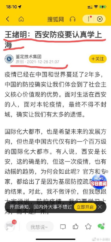 我们上海太厉害了🐒投稿By