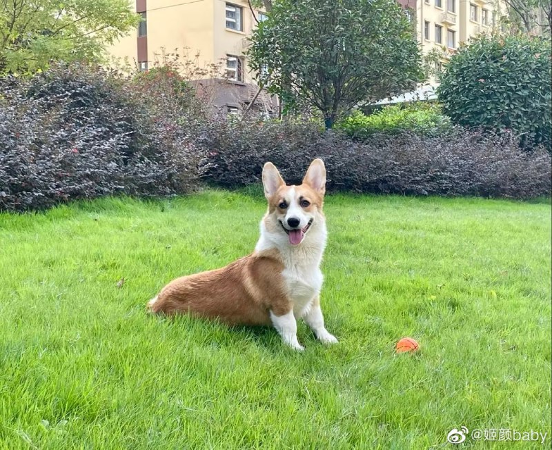 能打仗 打胜仗，这就是中国兵哥能打仗 打胜仗，这就是中国兵哥