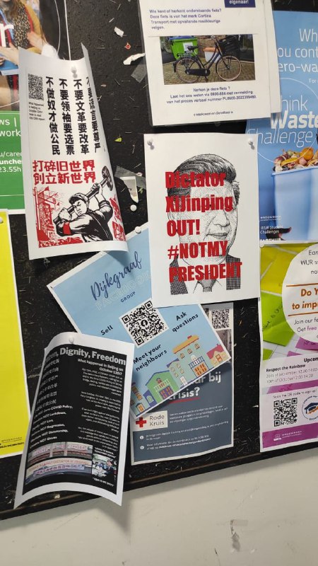 中荷友谊你们懂吗？By