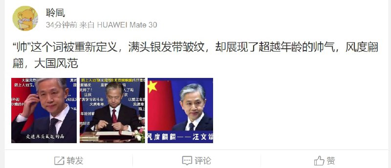 汪文斌、赵立坚的狂热粉丝投稿By