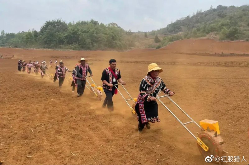 相信共产党的力量，能够扭转一切科学《沙漠种水稻》#诺贝尔生物学奖 #人定胜天相信共产党的力量，能够扭转一切科学《沙漠种水稻》#诺贝尔生物学奖 #人定胜天