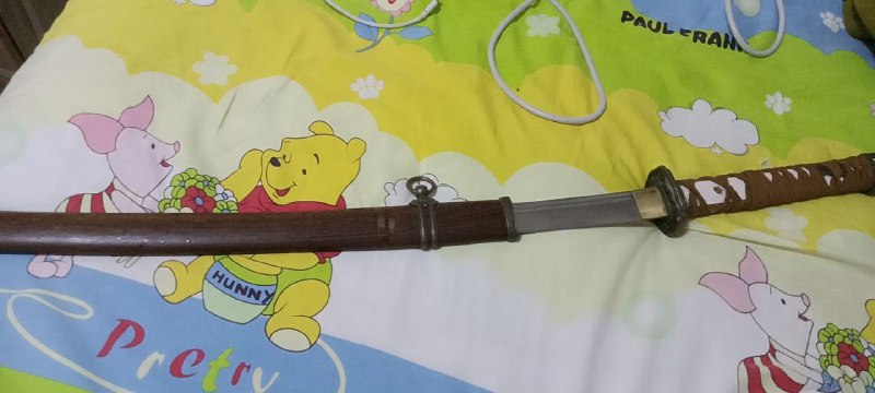 大佐与维尼马迎新❤️习近平