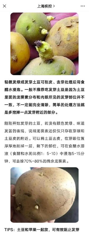 上海疾控中心开始教大家如何吃发芽的土豆上海疾控中心开始教大家如何吃发芽的土豆