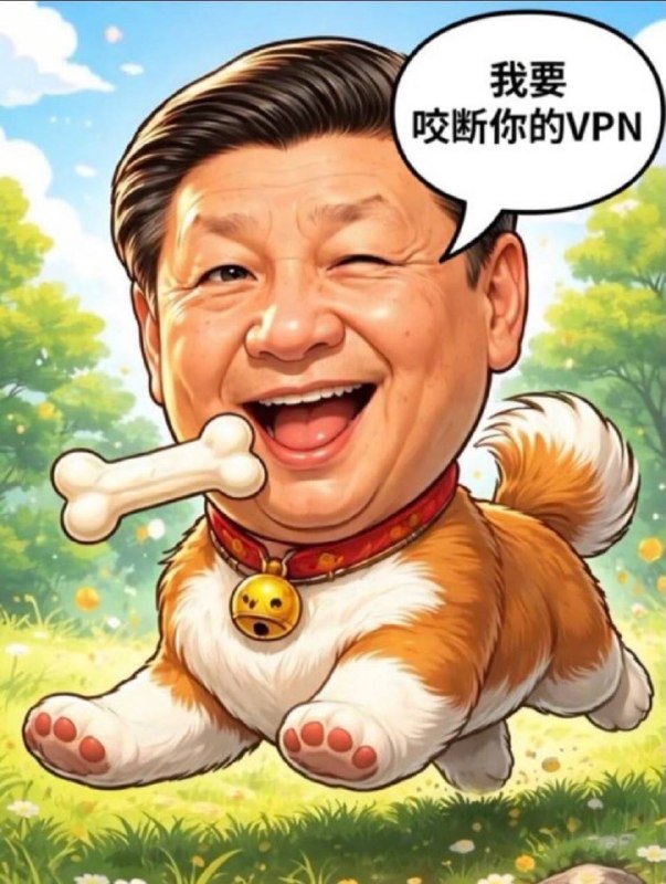 习狗咬断你的VPN啦