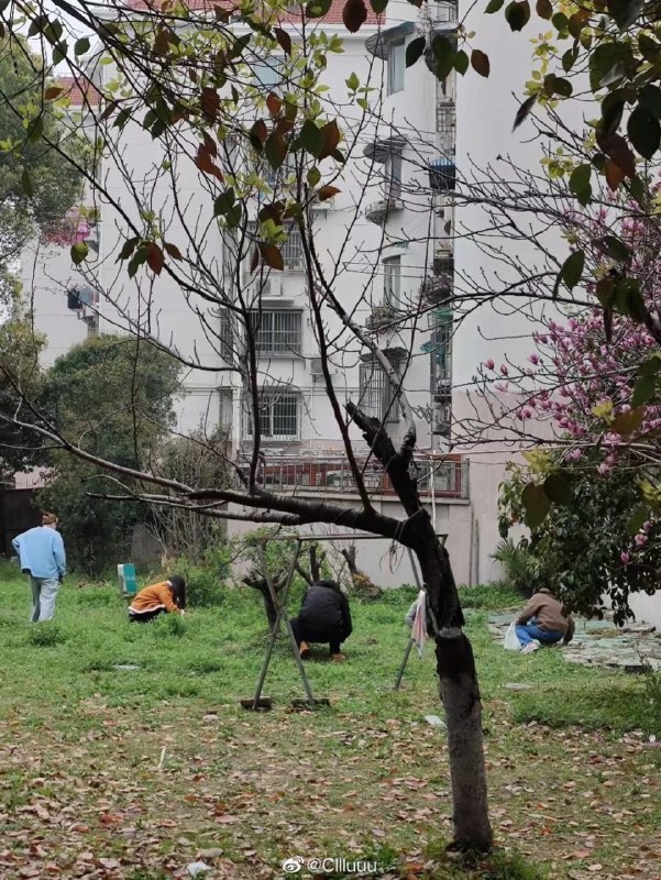 下次可以学你们的祖先试吃树皮和观音土#梦回大吃饱By