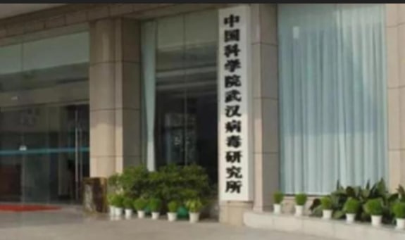 10月4日下午，武汉大学病毒学国家重点实验室、佛山病原微生物研究院的微信公众号先后发布讣告称，国际著名病毒学家、享受国务院政府特殊津贴专家、病毒学国家重点实验室原主任、武汉大学生命科学学院教授、暨南大学病原微生物研究院院长、广东省病毒学重点实验室主任、佛山病原微生物研究院执行院长，暨南大学生物医药产业园负责人吴建国博士因突发疾病，经抢救无效，于2022年10月3日凌晨1时07分在广东佛山逝世，享年66岁就是支持🐓共产党