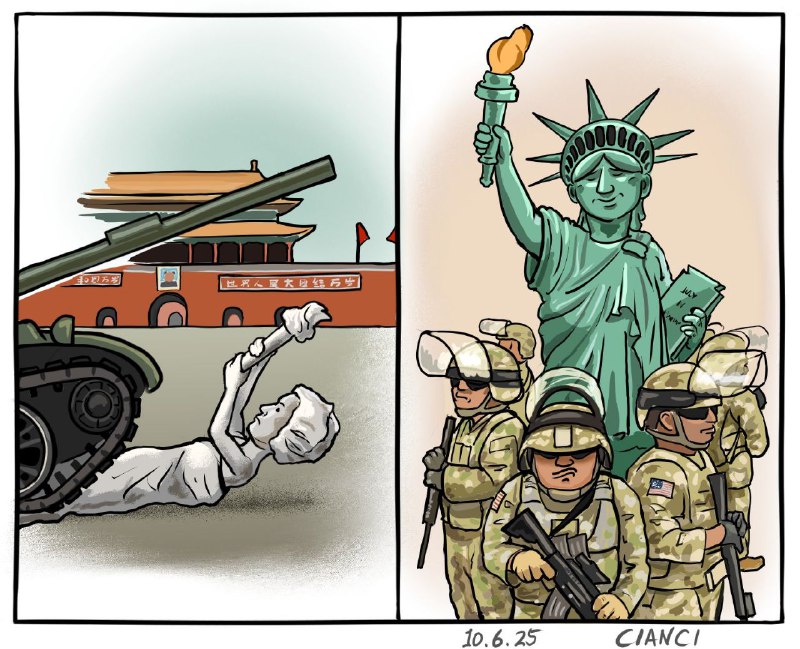 《國家行動》🕶️