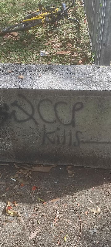 这是在中国涂鸦了吗， 我看到了小黄车